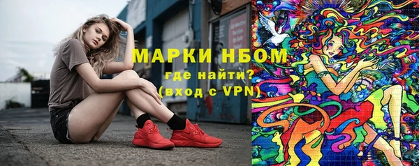 стафф Михайлов