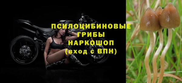стафф Михайлов