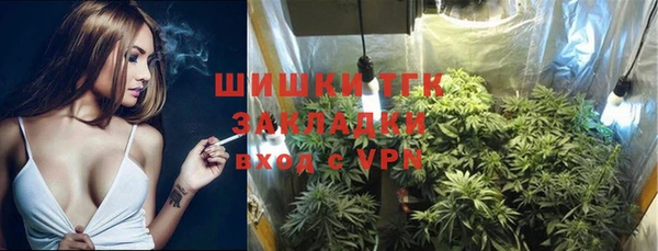 стафф Михайлов