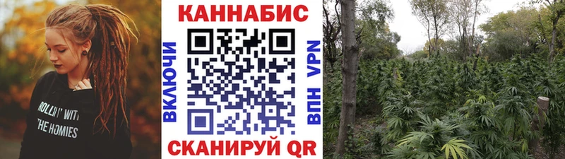 darknet клад Юрюзань Конопля план наркотики
